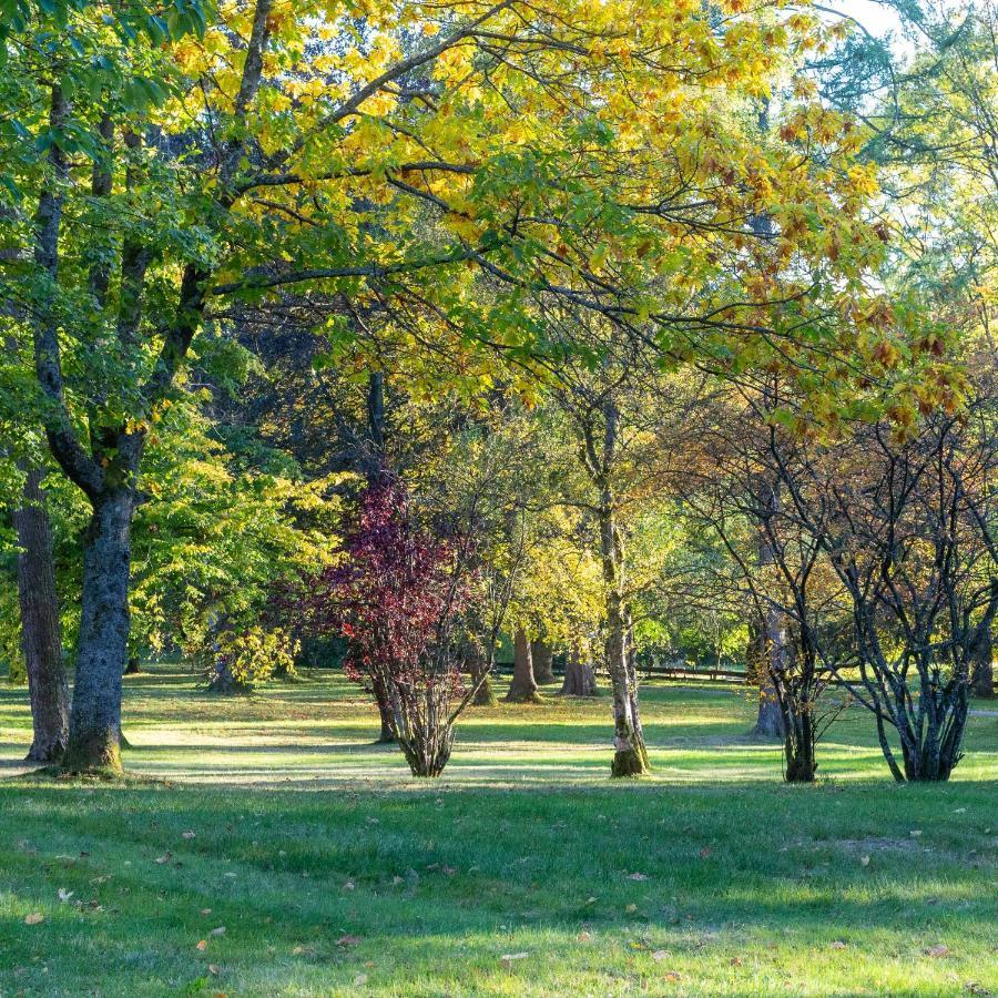 Ferienwohnung "Am Kurpark" Sankt Andreasberg Exteriör bild